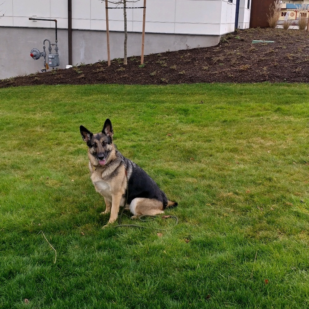 Meet your Posher, Molly